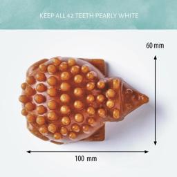 Antos Dental Tug Fyll den fräcka igelkotten och rengör tänderna samtidigt 1st